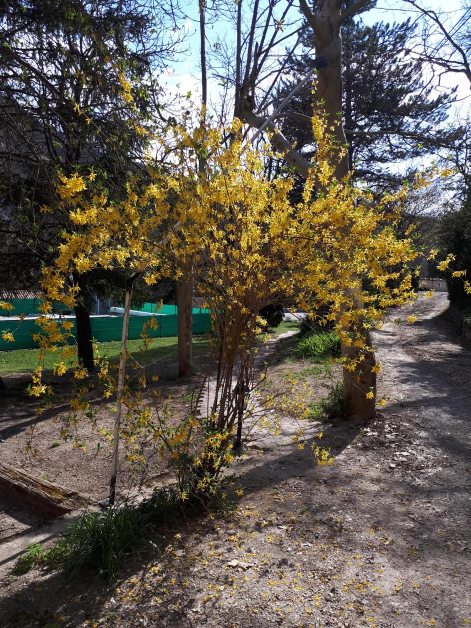 Logis Hotel Le Ceans Orpierre Dış mekan fotoğraf